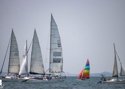 55601187315_68bbce9612_b